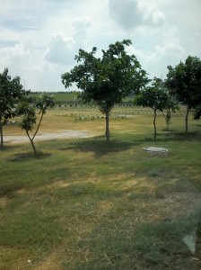 gardens