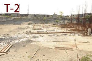 T2